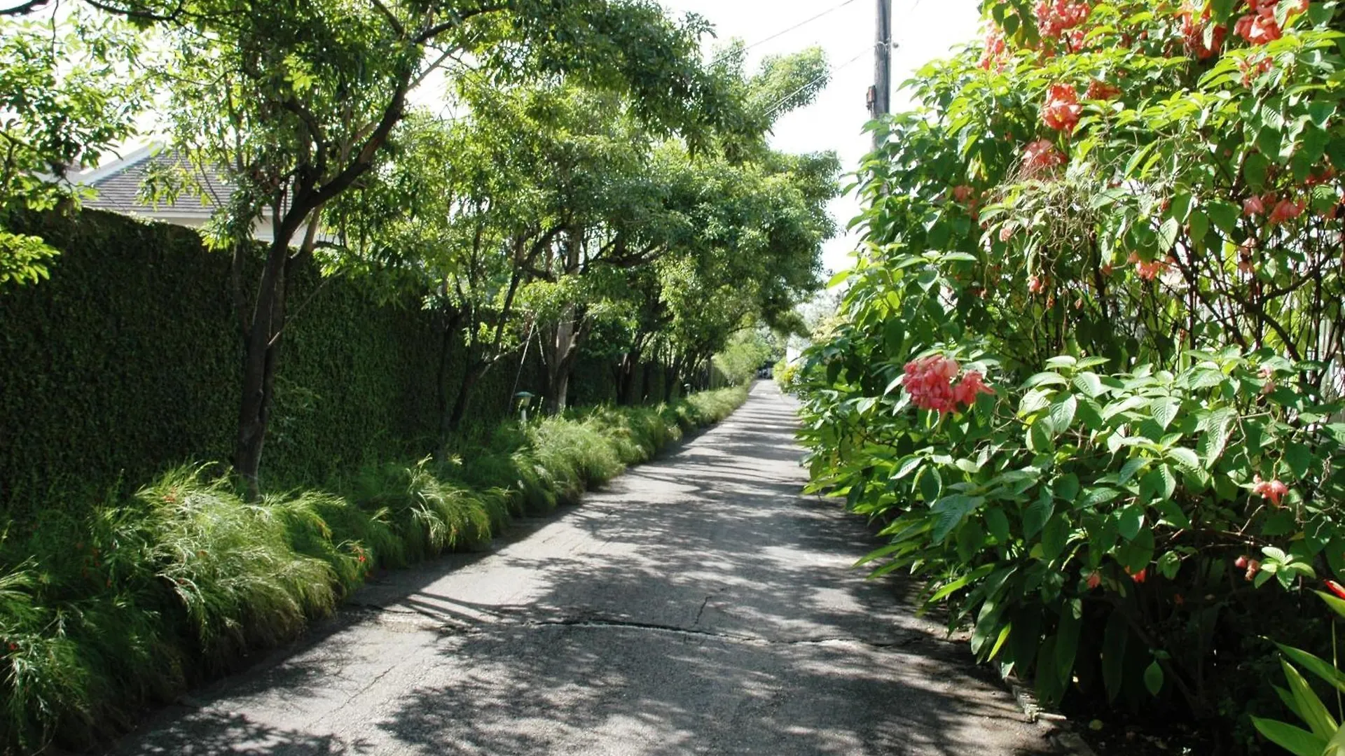 The Gardens Villa Kingston 0*,  Jamaica